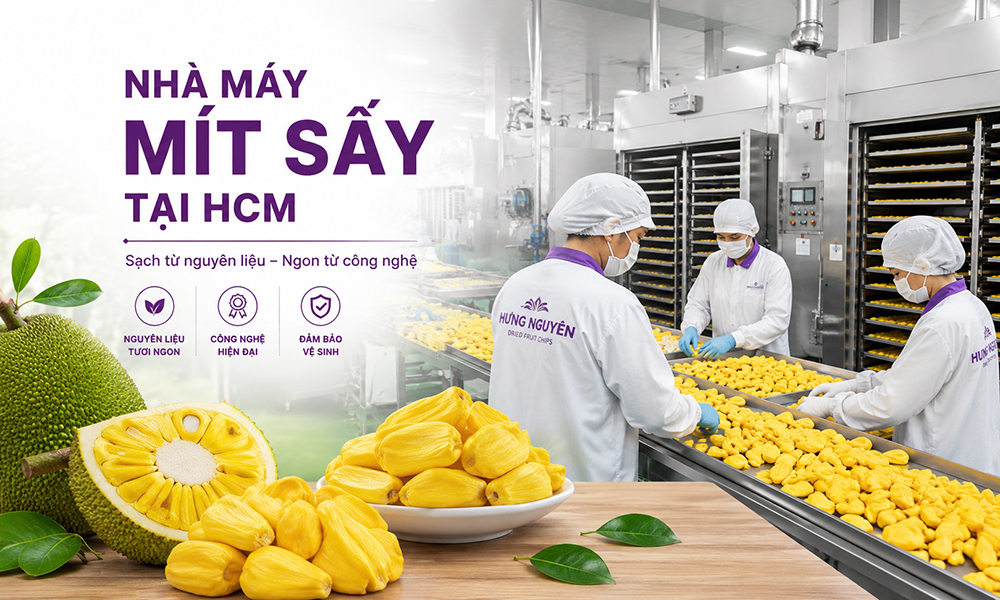 Nhà Máy Mít Sấy Tại HCM